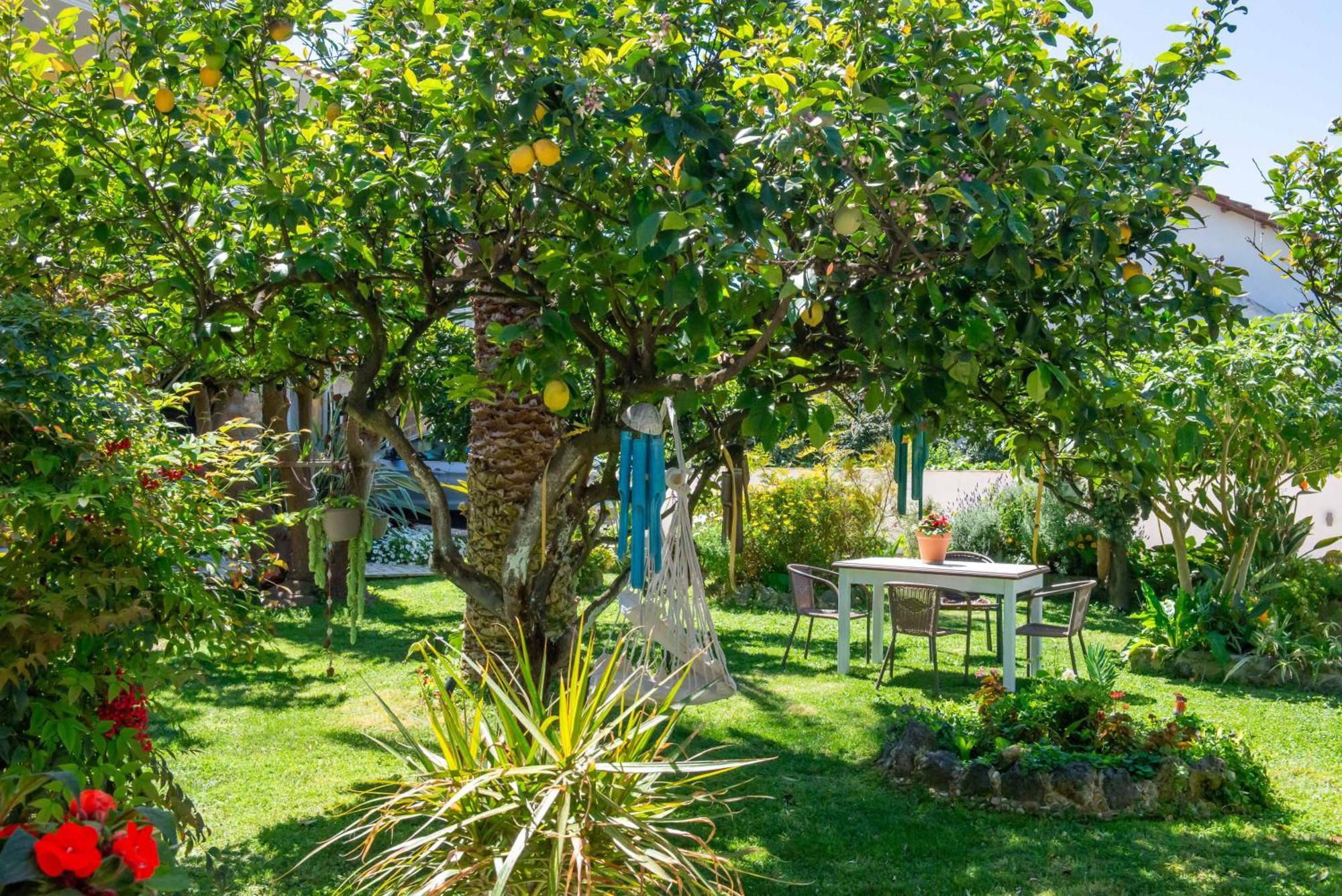 Alex Studios & Apartments Arillas (Corfu) Exterior foto