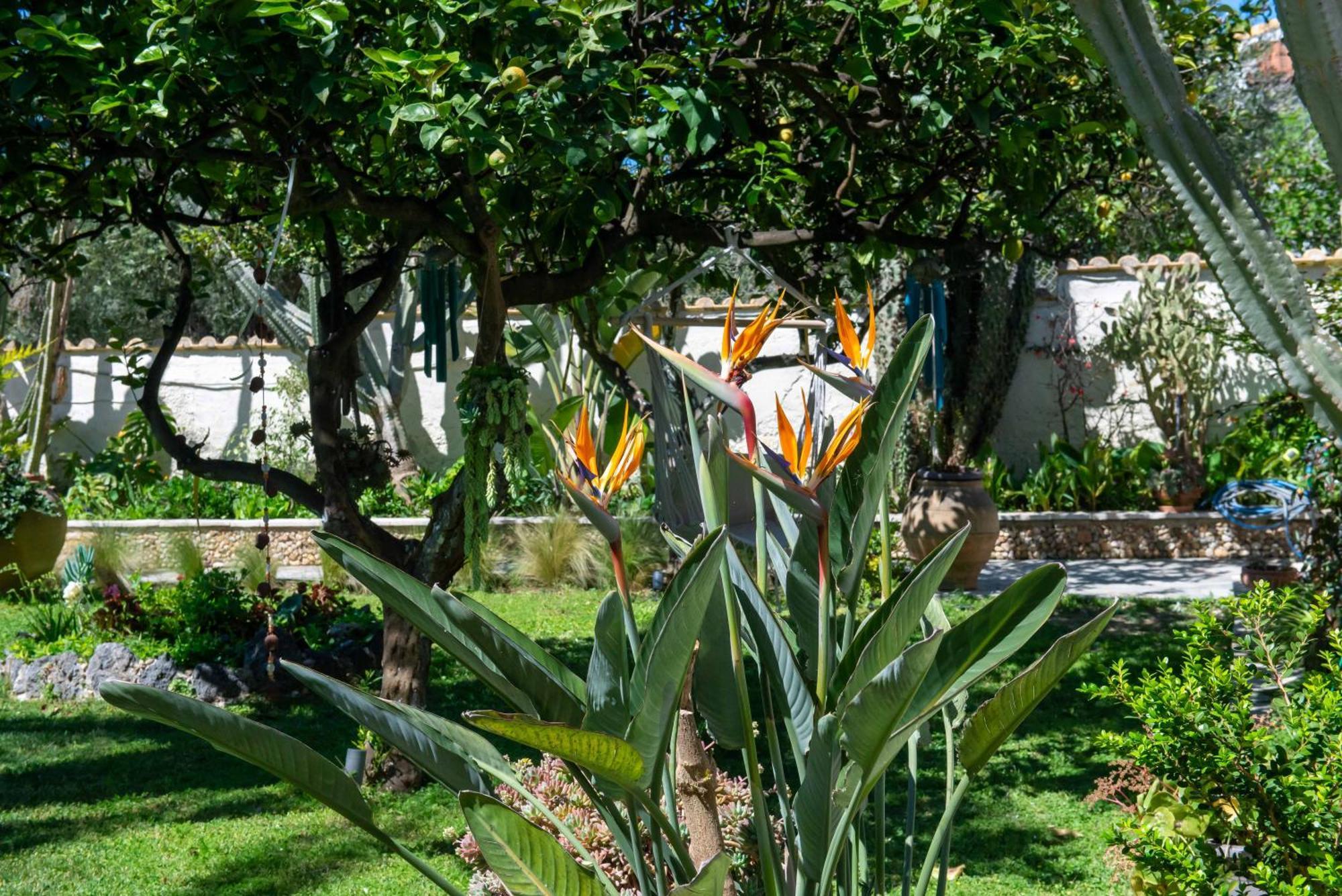 Alex Studios & Apartments Arillas (Corfu) Exterior foto